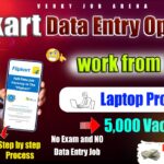 Flipkart Data Entry Operator Job