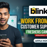 Blinkit Work From Home Job