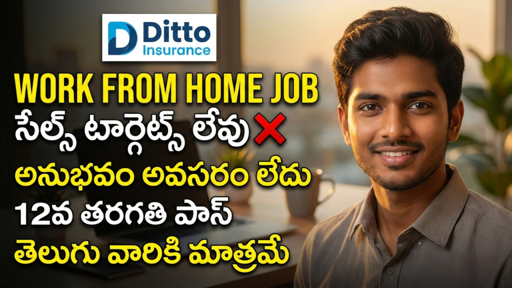 Insurance Advisory Ditto Careers