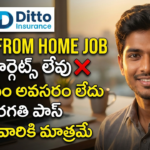 Insurance Advisory Ditto Careers